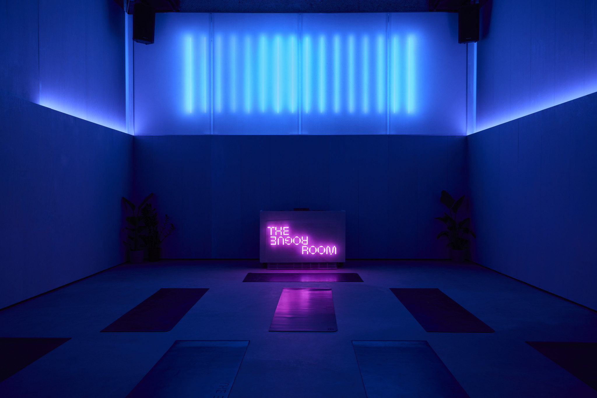 studioshaw — The Rogue Room wellness studio, Shoreditch London, immersive wellness environment for yoga and calisthenics, Studioshaw architects